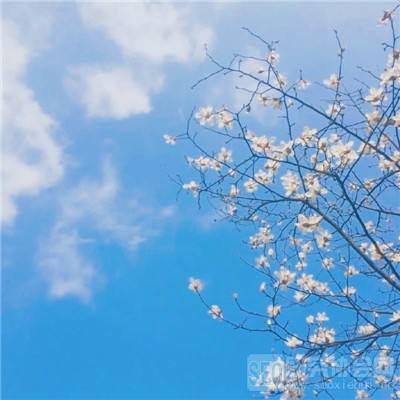 九游新剑与魔法手游下载